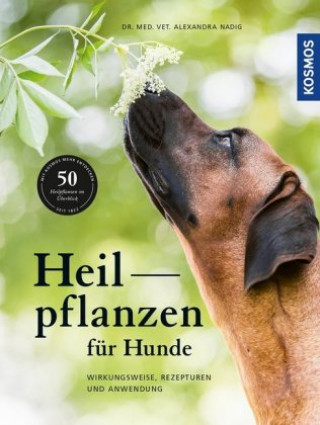 Könyv Heilpflanzen für Hunde Alexandra Nadig