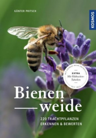 Książka Bienenweide Günter Pritsch