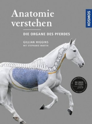 Kniha Anatomie verstehen - Die Organe des Pferdes Gillian Higgins