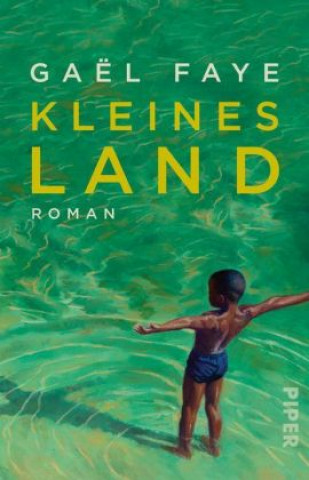 Kniha Kleines Land Gaël Faye