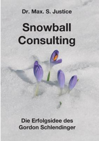 Kniha Snowball Consulting Max. S. Justice