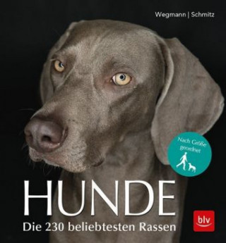 Buch Hunde Angela Wegmann