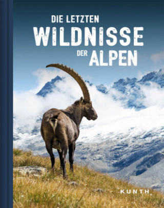 Kniha KUNTH Bildband Wildnis Alpen Kunth Verlag