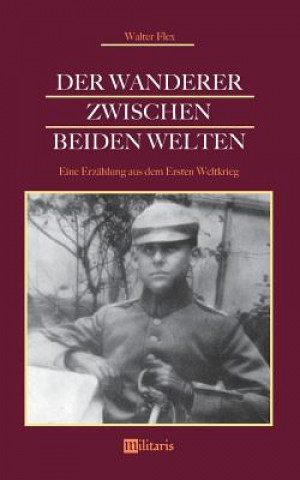 Kniha Wanderer zwischen beiden Welten. Eine Erzahlung aus dem Ersten Weltkrieg Walter Flex