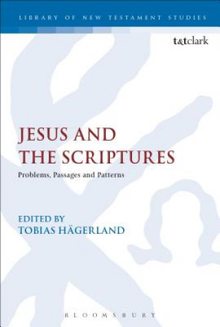 Книга Jesus and the Scriptures Chris Keith
