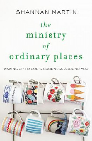 Kniha Ministry of Ordinary Places Shannan Martin