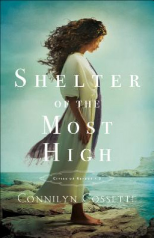 Libro Shelter of the Most High Connilyn Cossette