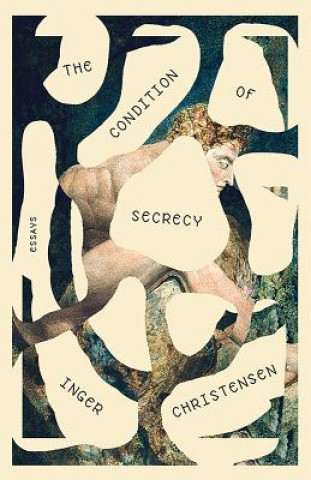 Book Condition of Secrecy Inger Christensen