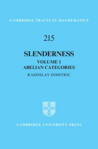 Knjiga Slenderness: Volume 1, Abelian Categories DIMITRIC  RADOSLAV