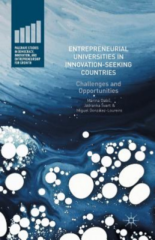 Kniha Entrepreneurial Universities in Innovation-Seeking Countries MARINA DABIC