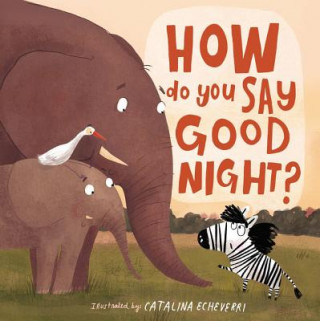 Buch How Do You Say Good Night? Catalina Echeverri