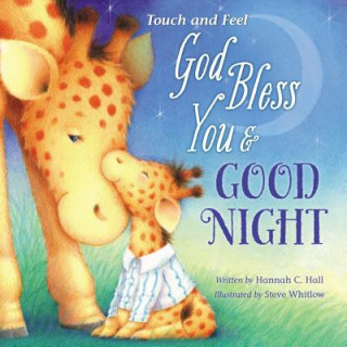 Carte God Bless You and Good Night Touch and Feel Hannah Hall