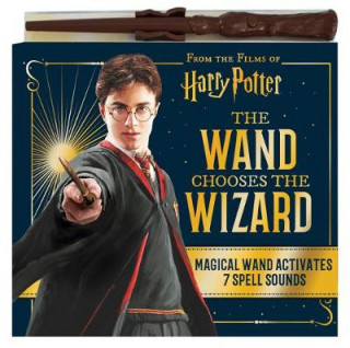 Könyv Wand Chooses the Wizard Margaret Green