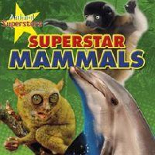 Könyv Animal Superstars Pack A of 4 Louise Spilsbury