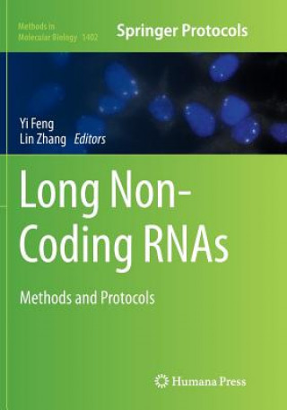 Kniha Long Non-Coding RNAs YI FENG
