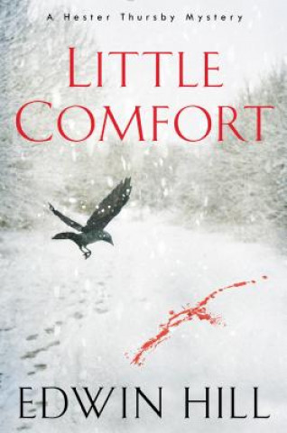 Kniha Little Comfort Edwin Hill