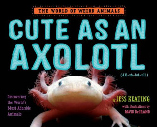 Könyv Cute as an Axolotl Jess Keating