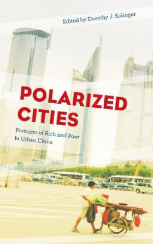 Kniha Polarized Cities Dorothy J Solinger