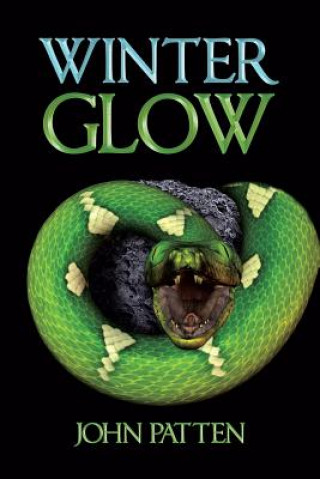 Boek Winter Glow John Patten