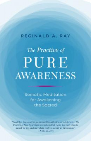 Könyv Practice of Pure Awareness Reginald Ray