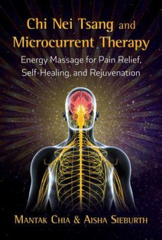 Book Chi Nei Tsang and Microcurrent Therapy Mantak Chia