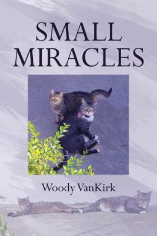 Knjiga Small Miracles WOODY VANKIRK