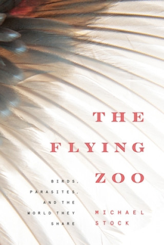 Kniha Flying Zoo Michael Stock