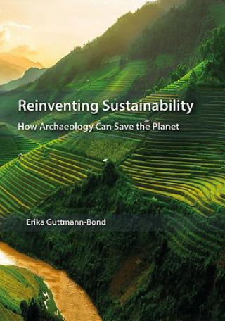 Kniha Reinventing Sustainability Erika Guttmann-Bond