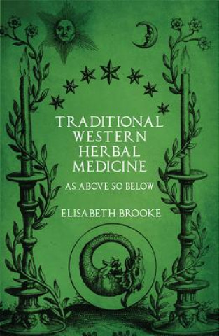 Kniha Traditional Western Herbal Medicine Elisabeth Brooke