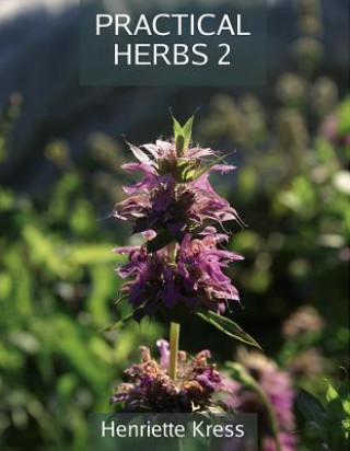 Knjiga Practical Herbs 2 Henriette Kress