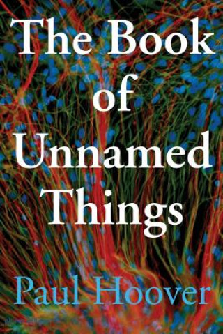 Carte Book of Unnamed Things PAUL HOOVER
