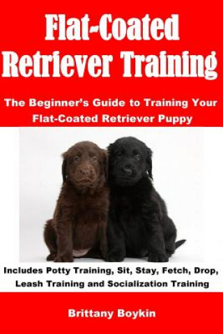 Kniha Flat-Coated Retriever Training BRITTANY BOYKIN