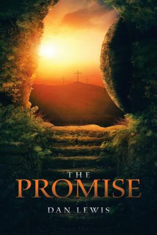 Книга Promise DAN LEWIS