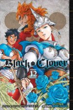 Könyv Black Clover, Vol. 12 Yuki Tabata