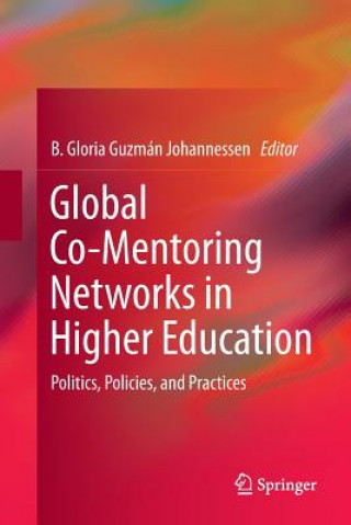 Buch Global Co-Mentoring Networks in Higher Education B. GLOR JOHANNESSEN