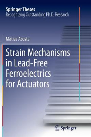 Kniha Strain Mechanisms in Lead-Free Ferroelectrics for Actuators MATIAS ACOSTA