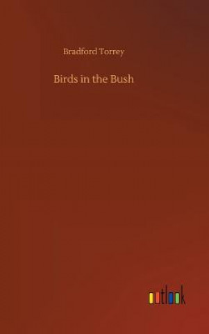 Carte Birds in the Bush BRADFORD TORREY