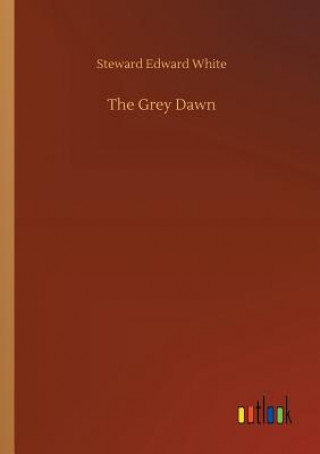 Libro Grey Dawn Steward Edward White