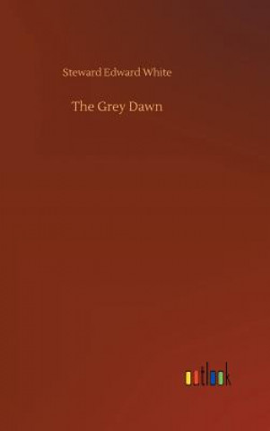 Libro Grey Dawn STEWARD EDWAR WHITE