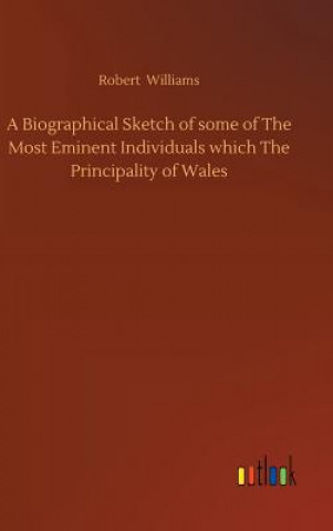 Buch Biographical Sketch of some of The Most Eminent Individuals which The Principality of Wales Robert Williams