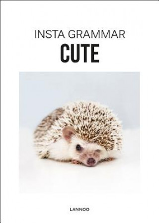 Kniha Insta Grammar: Cute Irene Schampaert