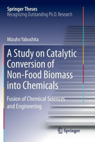 Kniha Study on Catalytic Conversion of Non-Food Biomass into Chemicals MIZUHO YABUSHITA