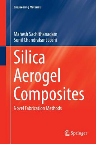 Kniha Silica Aerogel Composites MAHES SACHITHANADAM