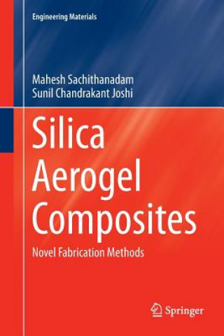 Buch Silica Aerogel Composites MAHES SACHITHANADAM