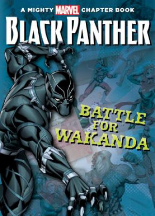 Book Black Panther: The Battle for Brandon T Snider