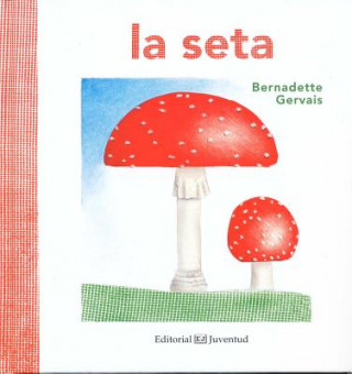 Könyv La Seta Bernadette Gervais