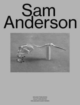 Könyv Sam Anderson Sam Anderson