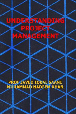 Книга Understanding Project Management Prof Javed Iqbal Saani