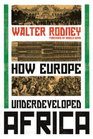 Book How Europe Underdeveloped Africa Walter Rodney