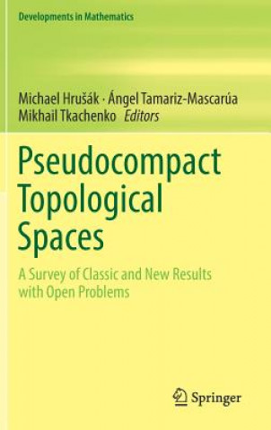 Boek Pseudocompact Topological Spaces Michael HruSák